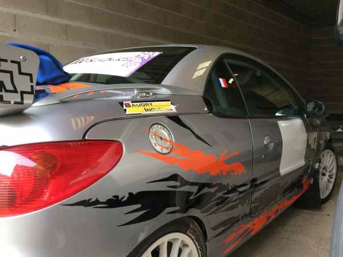 206 F2014 / VENDU /MERCI Mikado Racing – photo 4 sur 5