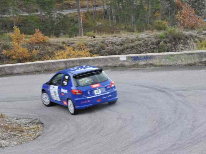 Peugeot 206 F 2014 1