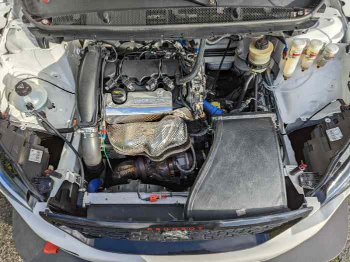 Peugeot 308 TCR 2021 - n 29 3