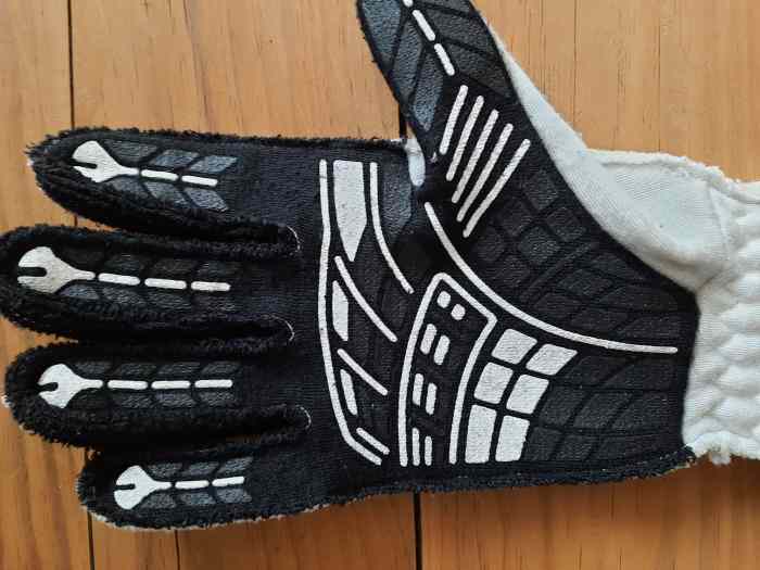 Gants alpinestars tech 1-zx Fia 2