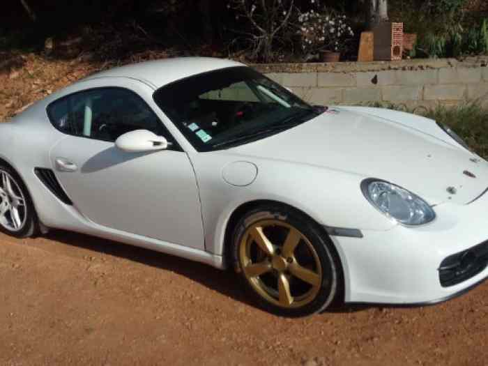 Porsche Cayman S Cup GT10 0