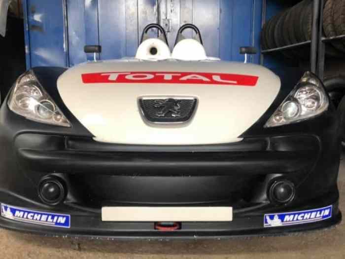 Peugeot 207 THP Spider Cup 1