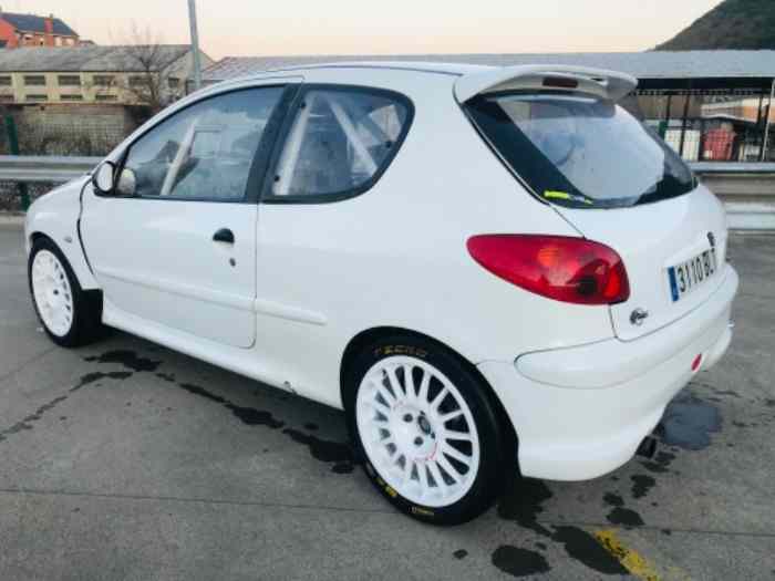 Peugeot 206 f2000-230cv/secuencial sadev