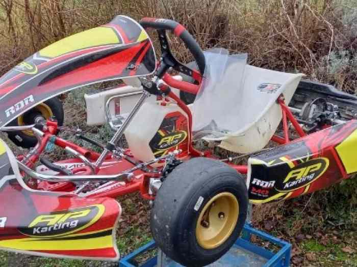 kart cadet chassis 2021