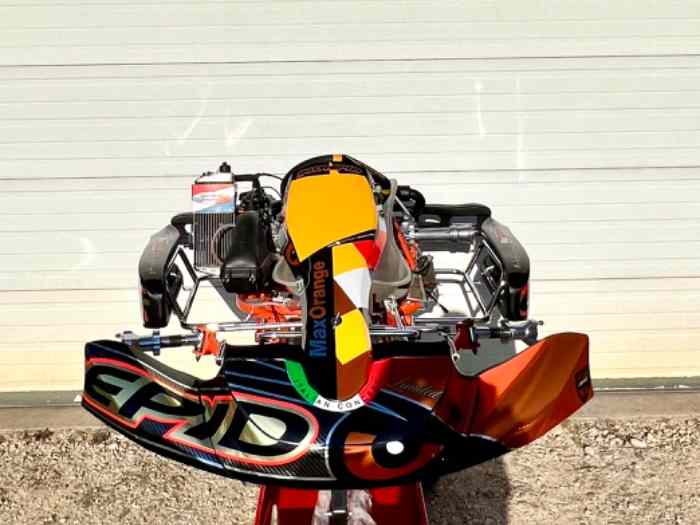 Karting / kart 125 Rotax Max 1
