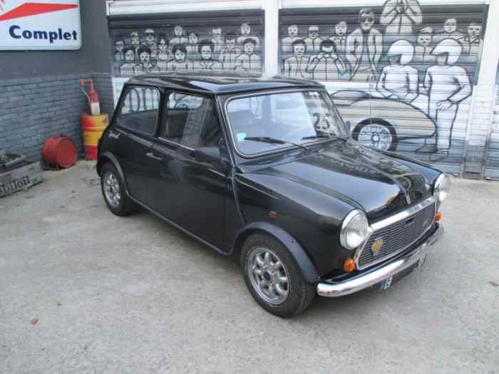 AUSTIN MINI SPECIAL 1989 2