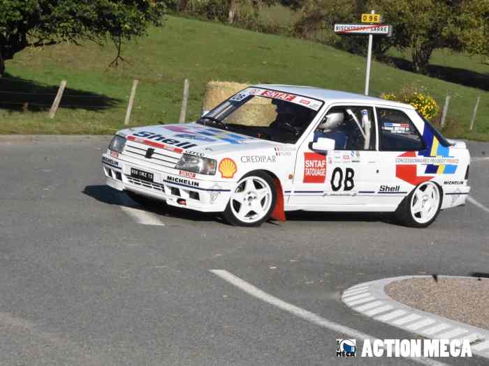 PEUGEOT 309 GTi 16s Groupe A (Réplique) 5