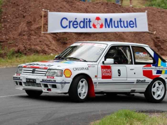 PEUGEOT 309 GTi 16s Groupe A (Réplique) 2