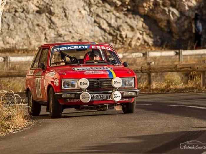 Peugeot ZS groupe 2