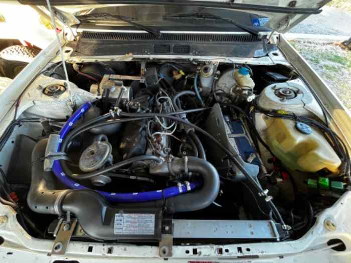 DANGEL - Peugeot 505 4x4 5