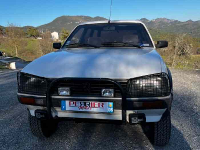 DANGEL - Peugeot 505 4x4 2