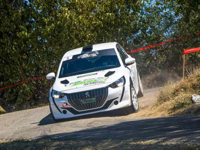 LOUE Peugeot 208 Rally 4