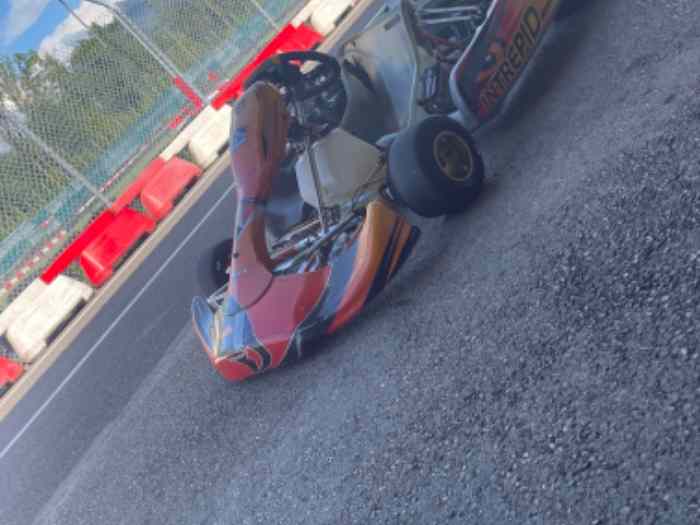 125 rotax max 1