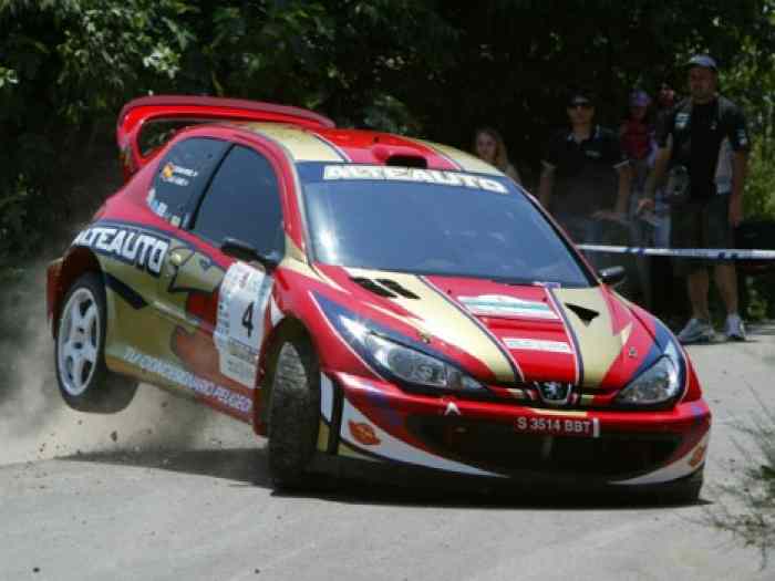 206 WRC EX OFICIAL N 13 3