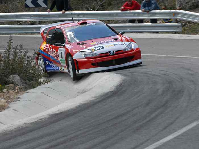 206 WRC EX OFICIAL N 13