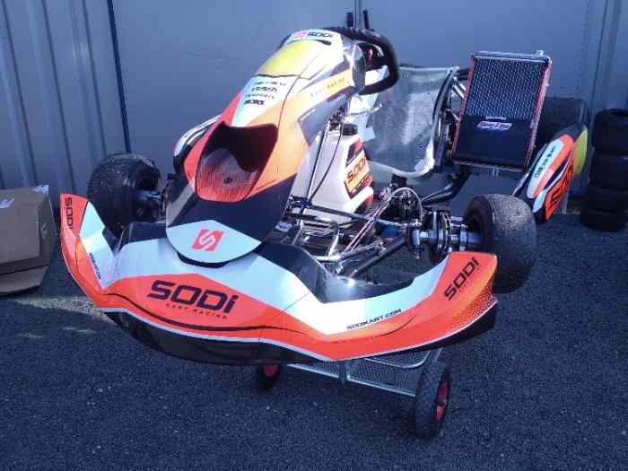 Karting 125 KZ année 2021 + Moteur TM R1 Cédric Sport 1