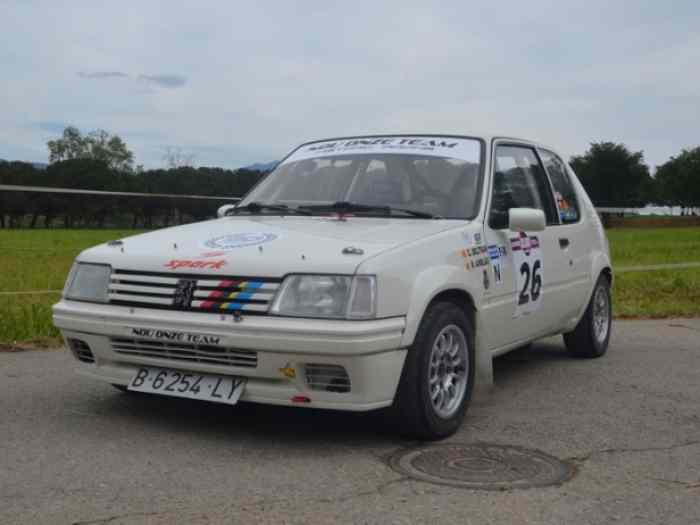 PEUGEOT - 205 Rallye GR N 1