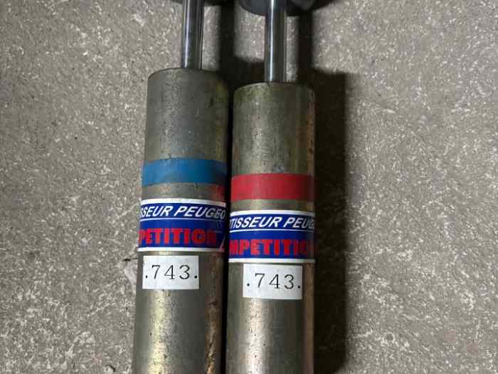 PIECES 306 MAXI EVO2 ET SAN REMO 5