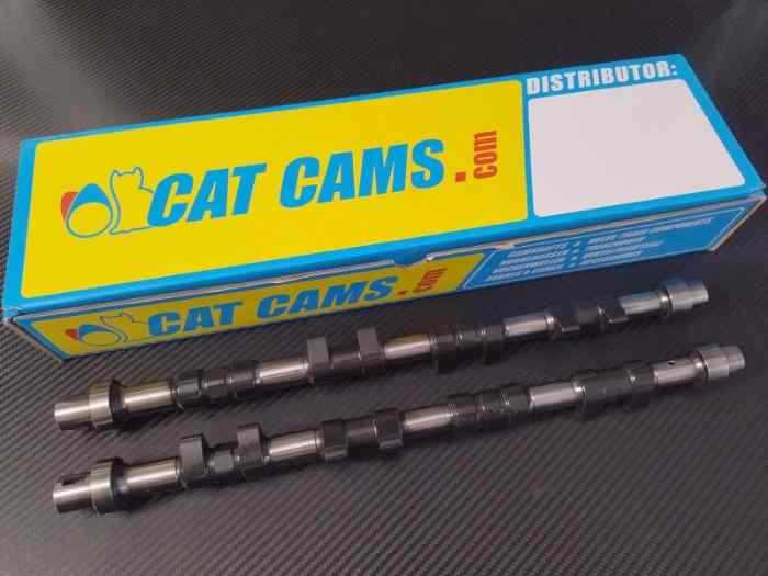 Arbres à cames Cat Cams 306 S16 Acav 405 Mi16 2l XU10J4 278° 10,75mm neufs 0