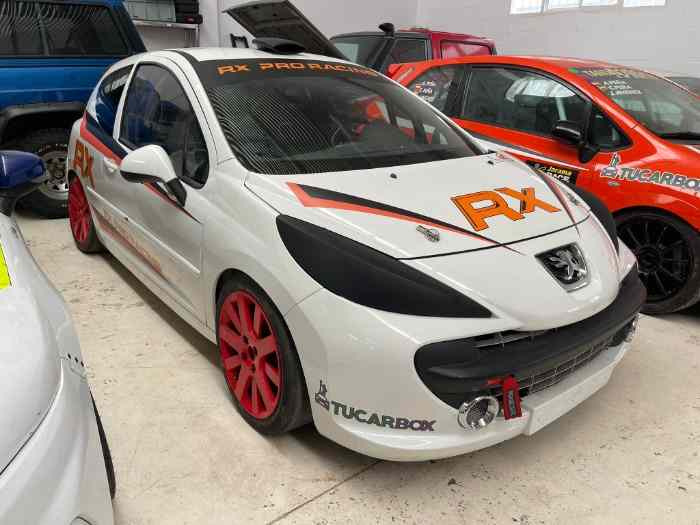 Peugeot 207 THP Cup 0