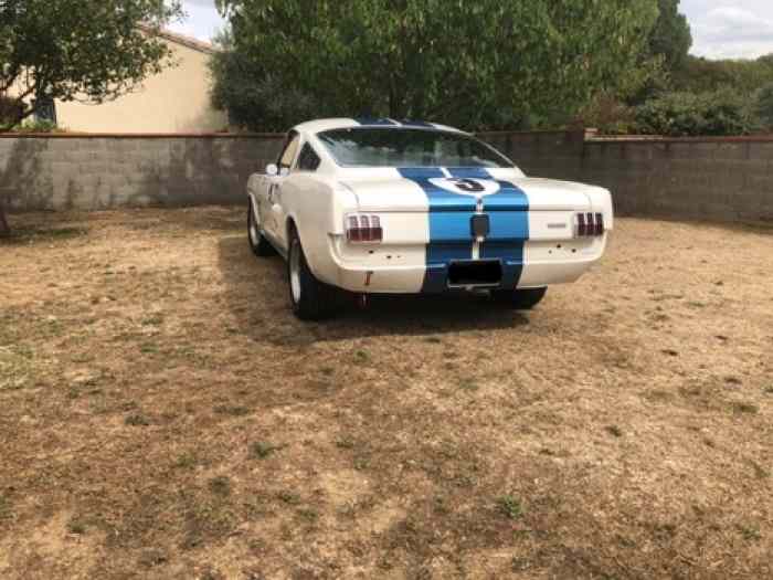 Ford Mustang Shelby GT350R 1965 5