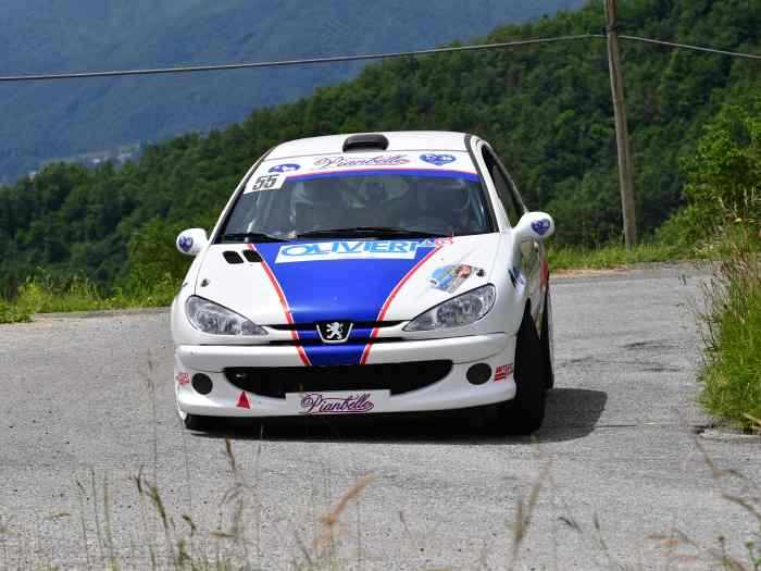 Peugeot 206RC A/7 Completa 4