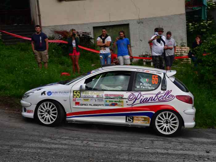 Peugeot 206RC A/7 Completa 1