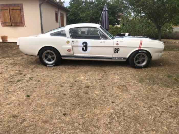 Ford Mustang Shelby GT350R 1965 1