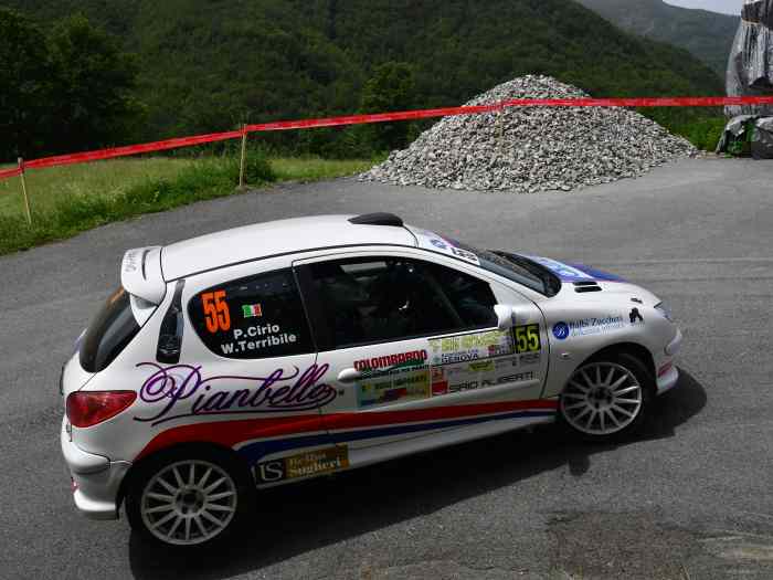 Peugeot 206RC A/7 Completa 5