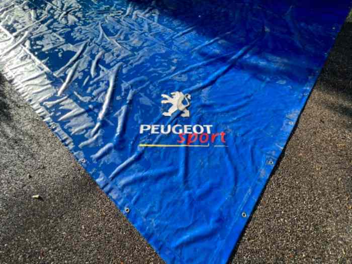 Bâche officielle d’assistance Rallye BOZIAN racing team Peugeot Sport 2