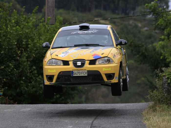 Ibiza TDI grupo a