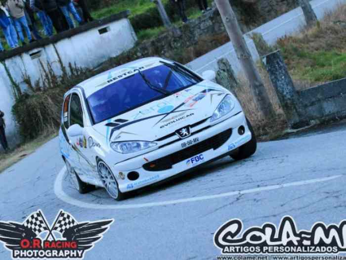 Peugeot 206 RC Matter