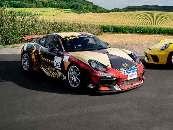 Location Porsche 981 GT4 Clubsport Man...