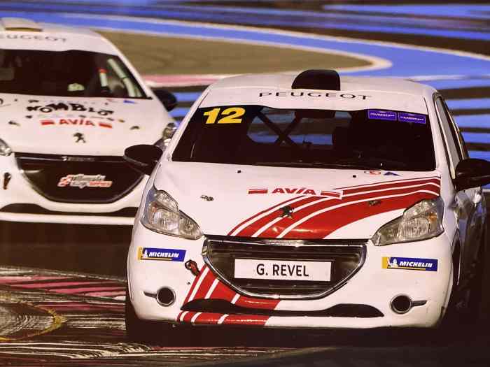 208 RACING CUP
