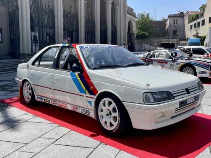 Peugeot 405 MI16 gr A Ex Aghini- Zanus...