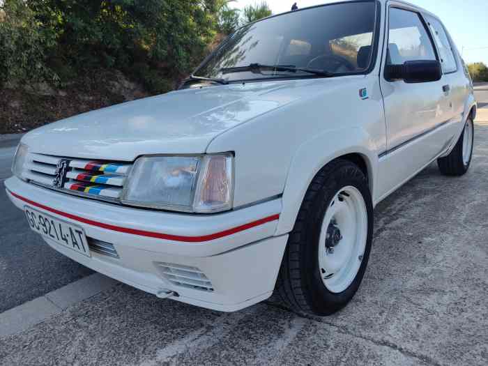 Peugeot 205 rallye 0