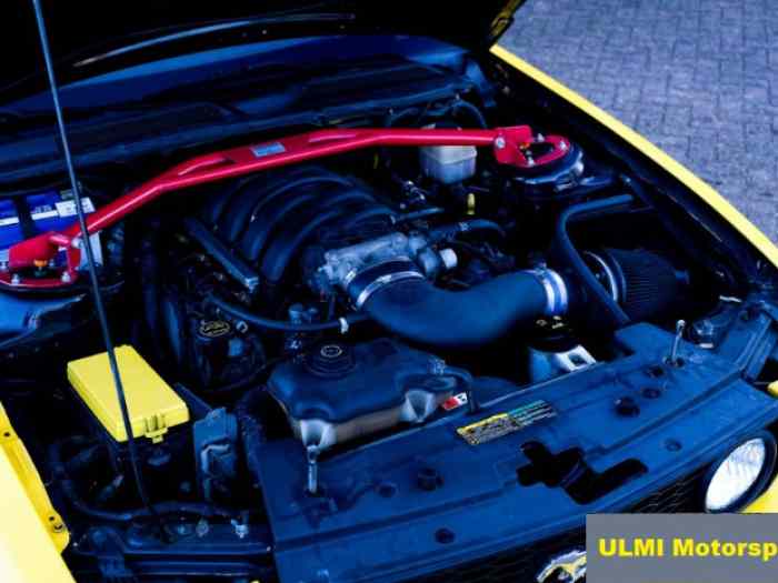 Mustang GT 4.6 V8 Cup Racer 3