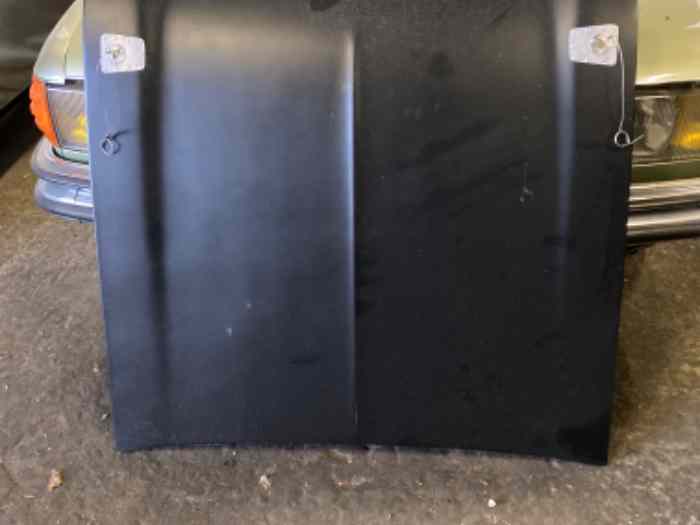 Capot fibre ford mk1 - pièces et voitures de course à vendre, de rallye ...