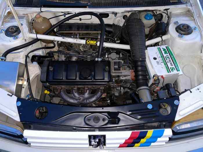 Peugeot 205 Rallye gr. N 5