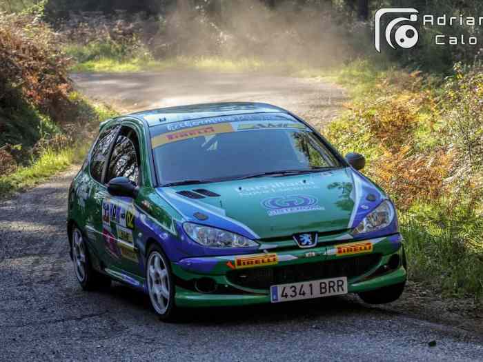 Peugeot 206 xs 3