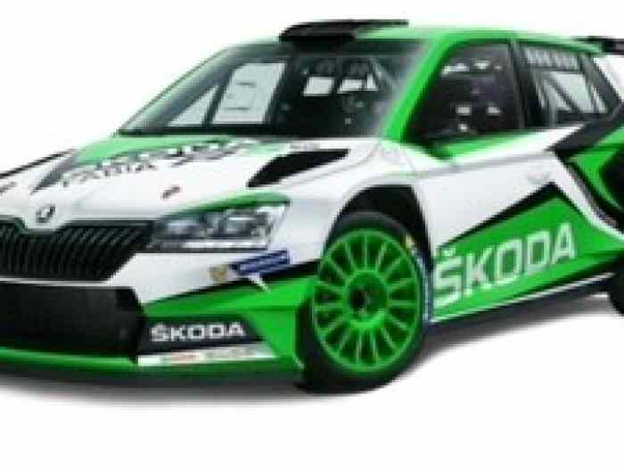 SEARCHING- Skoda Fabia R5 parts