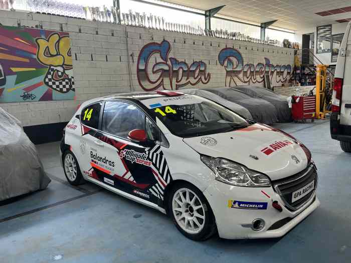 Peugeot 208 racing cup