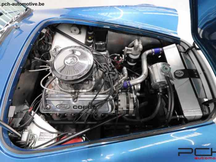 SHELBY Cobra 289 FIA - 10.900 Kms - 1965 4
