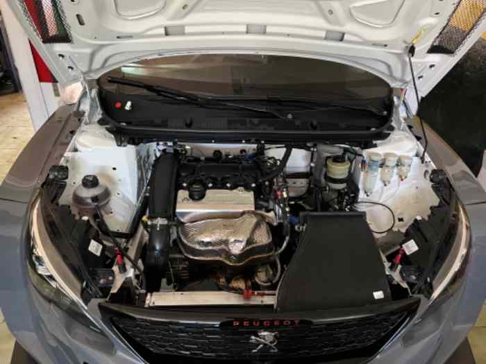 Peugeot 308 TCR 3