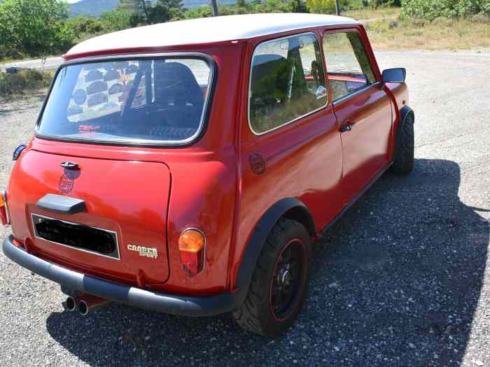 mini cooper 1991 carbu 1