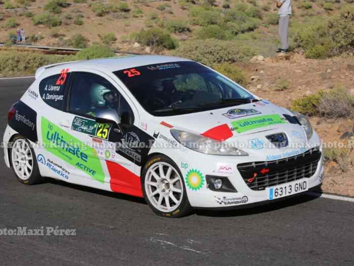 PEUGEOT 207 RC RALLY 0