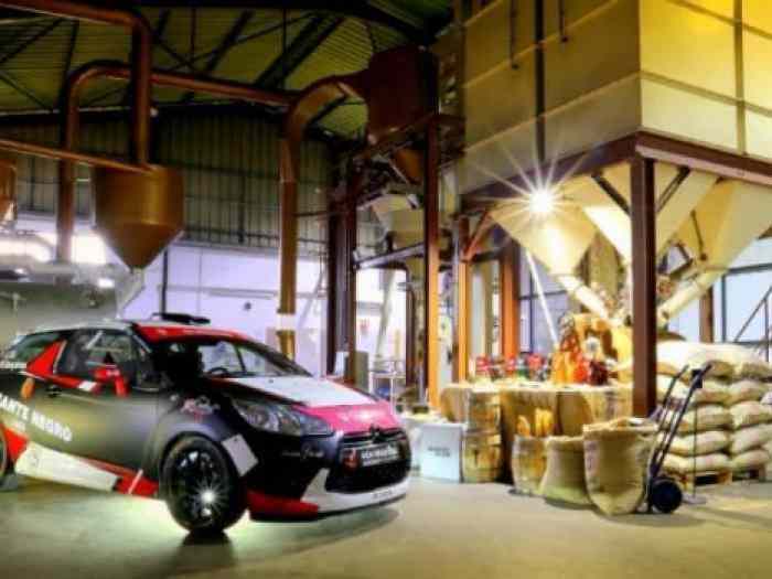 DS3 R3 Max by Enjolras Racing