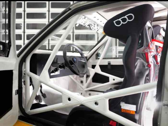 Audi Sport Quattro S1 Project 5