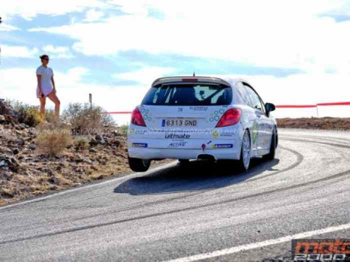 PEUGEOT 207 RC RALLY 4