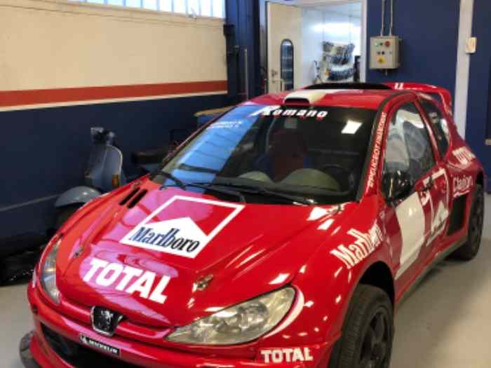 Peugeot 206 4x4 1